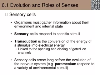 6.1 Evolution and Roles of Senses