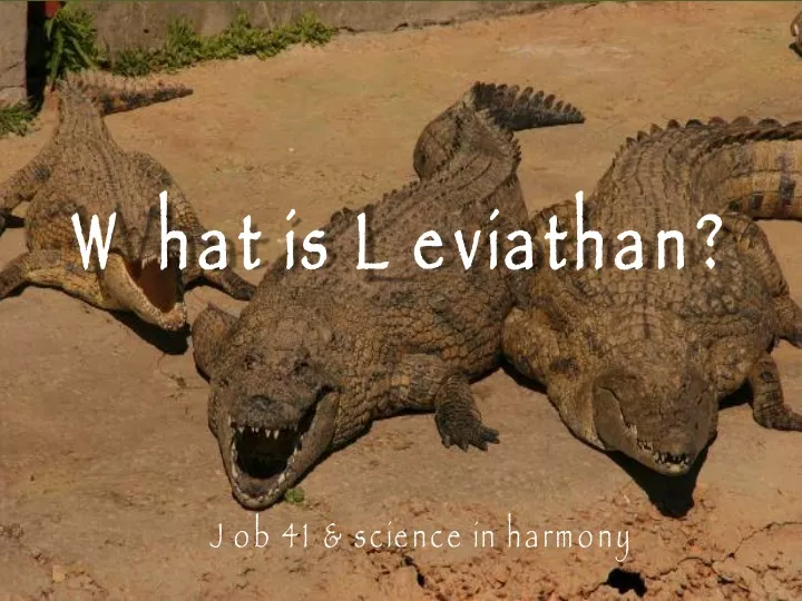 what is leviathan