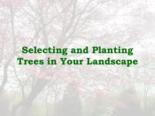 Selecting and Planting Trees in Your Landscape