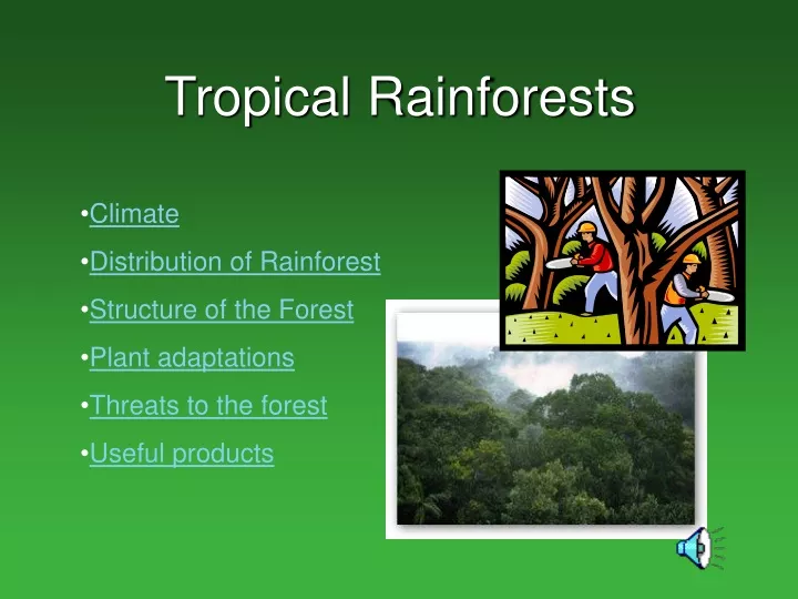 tropical rainforests
