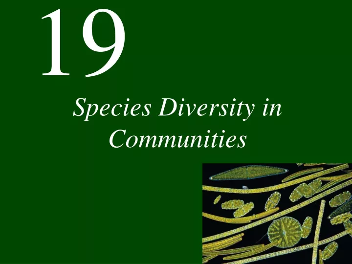 species diversity in communities
