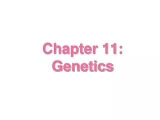 Chapter 11: Genetics