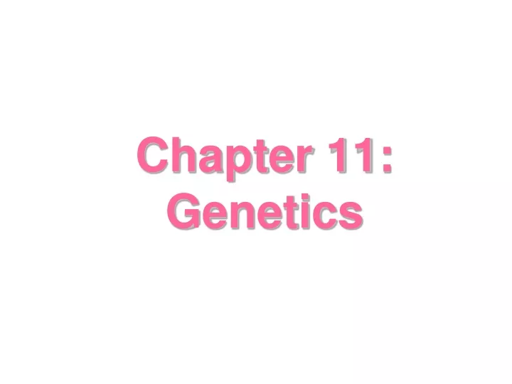 chapter 11 genetics