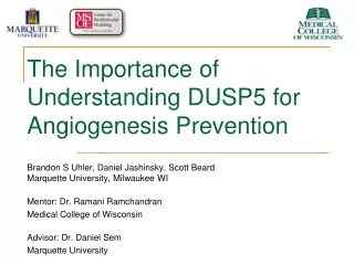 The Importance of Understanding DUSP5 for Angiogenesis Prevention