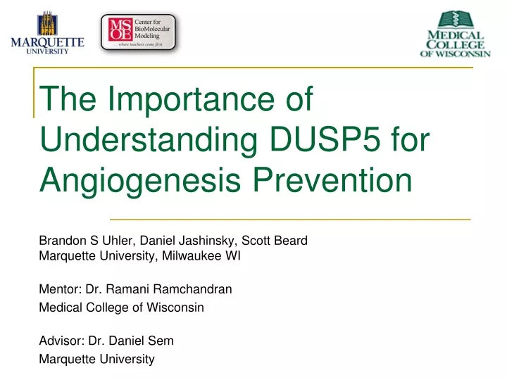 the importance of understanding dusp5 for angiogenesis prevention