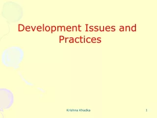 Development Issues and Practices