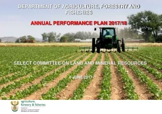 DEPARTMENT OF AGRICULTURE, FORESTRY AND FISHERIES  ANNUAL PERFORMANCE PLAN 2017/18