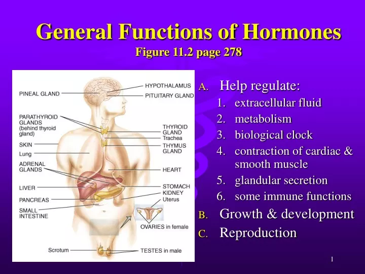 general functions of hormones figure 11 2 page 278