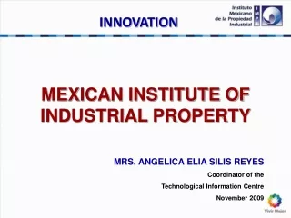 MEXICAN INSTITUTE OF INDUSTRIAL PROPERTY