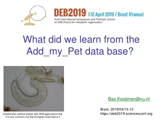 What did we learn from the  Add_my_Pet data base?