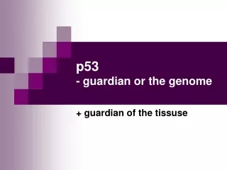 p53  - guardian or the genome