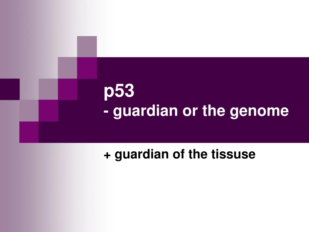 PPT - p53: Guardian of the Genome and Tissue Activation Pathways ...
