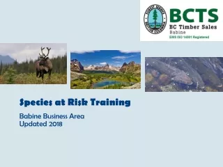Species at Risk Training  Babine Business Area Updated 2018