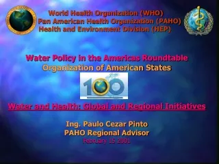 1.  PAHO Institutional Vision: Panamericanism and Equity