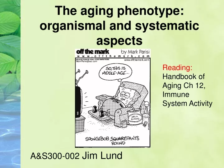 the aging phenotype organismal and systematic aspects