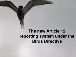 The new Article 12 reporting system under the Birds Directive