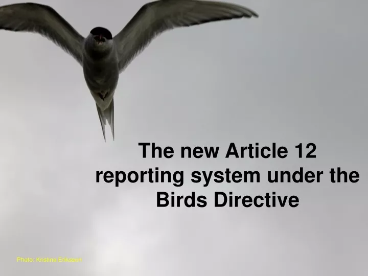 the new article 12 reporting system under