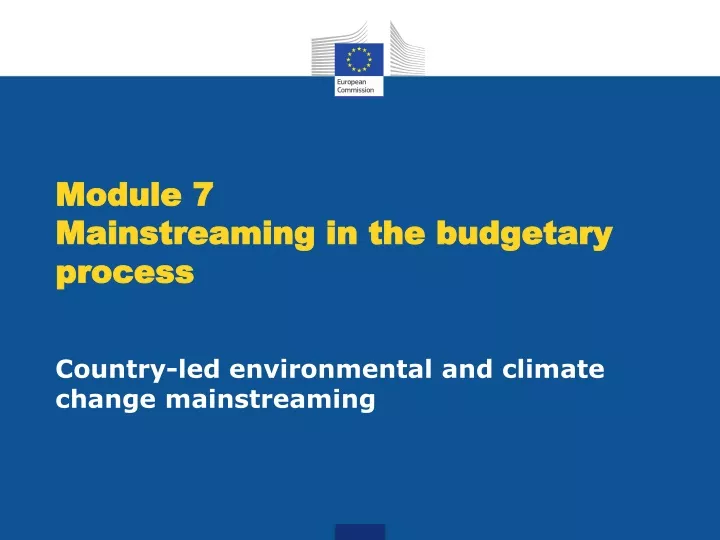 module 7 mainstreaming in the budgetary process
