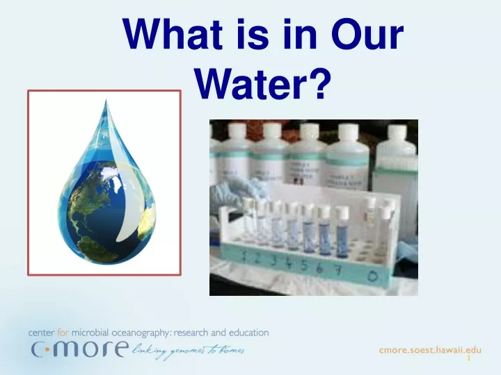 what is in our water