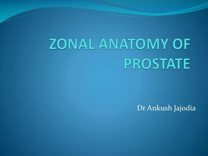 zonal anatomy of prostate