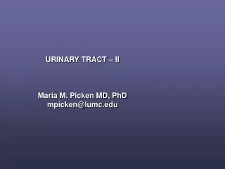 URINARY TRACT – II Maria M. Picken MD, PhD mpicken@lumc