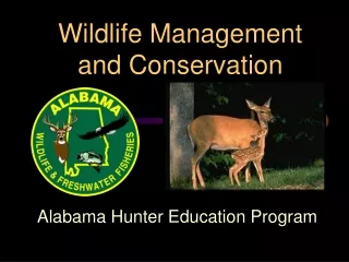 Wildlife Management and Conservation