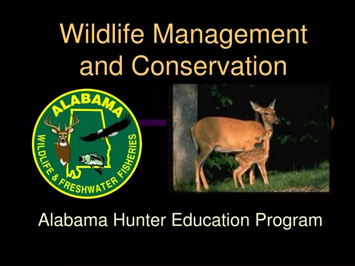 wildlife management and conservation