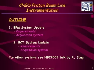 CNGS Proton Beam Line Instrumentation