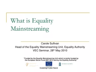 What is Equality Mainstreaming