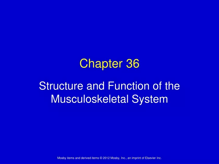 structure and function of the musculoskeletal system