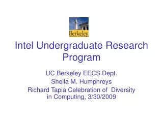 Intel Undergraduate Research Program