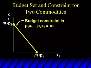 Budget Set and Constraint for Two Commodities