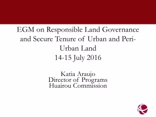 EGM on Responsible Land Governance and Secure Tenure of Urban and Peri-Urban Land 14-15 July 2016