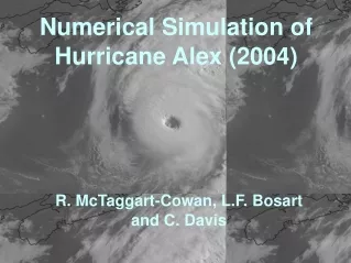 Numerical Simulation of Hurricane Alex (2004)