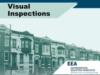 Visual  Inspections