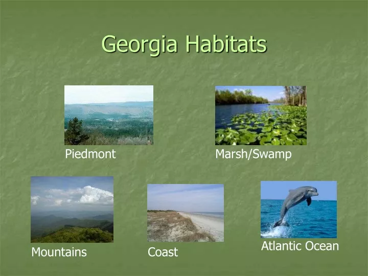 georgia habitats