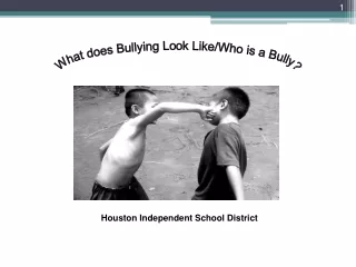 What does Bullying Look Like/Who is a Bully?