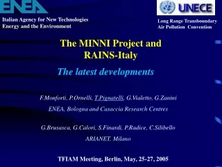 The MINNI Project and RAINS-Italy
