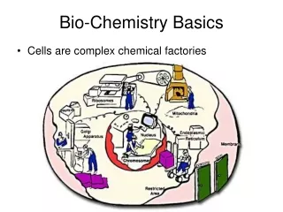 Bio-Chemistry Basics