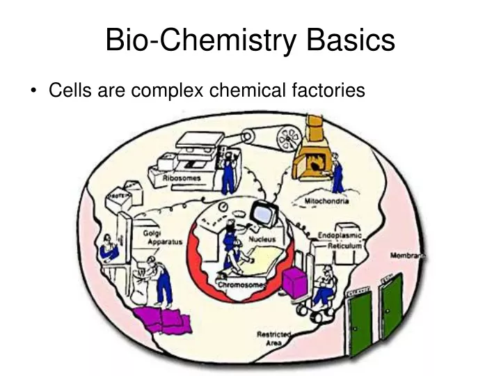 bio chemistry basics