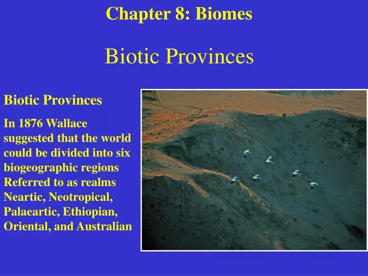 biotic provinces