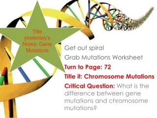 Get out spiral Grab Mutations Worksheet Turn to Page: 72 Title it: Chromosome Mutations