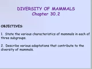 DIVERSITY OF MAMMALS Chapter 30.2 OBJECTIVES :