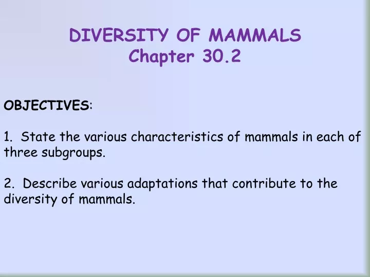 diversity of mammals chapter 30 2 objectives