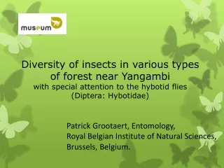 Diversity of insects in various types of forest near Yangambi