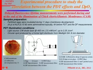 Experimental procedure to study the correlation between the PDT effects and  D pO 2