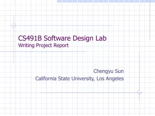 CS491B Software Design Lab Writing Project Report