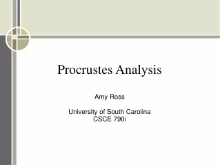 Procrustes Analysis