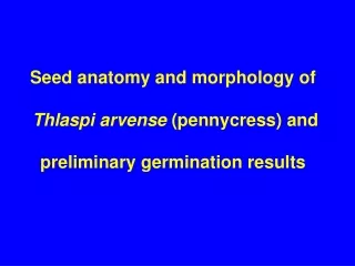 Seed anatomy and morphology of Thlaspi arvense  (pennycress) and  preliminary germination results
