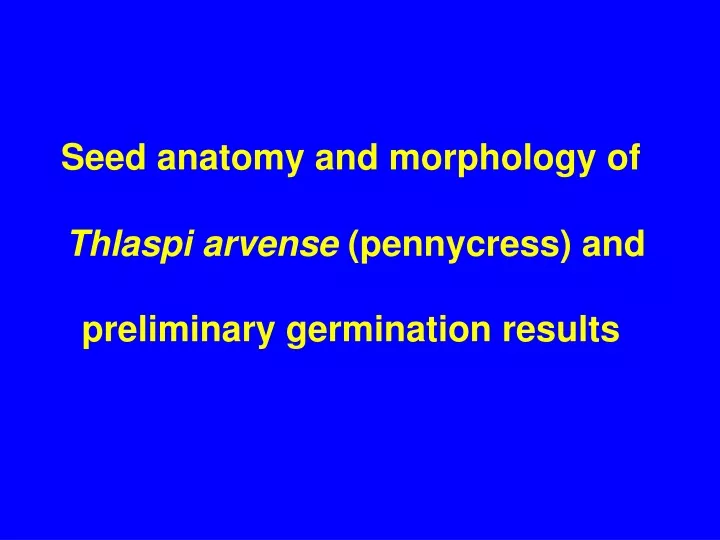 seed anatomy and morphology of thlaspi arvense pennycress and preliminary germination results